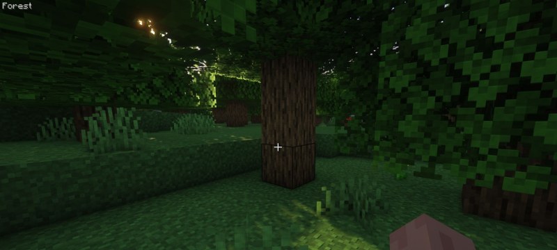 Мод BiomeInfo 26.2/1.21.11 (Информация о биоме) | 20-06-2026, 19:28 - Моды для Minecraft / Мини карта / Декор / 1.12.2 / 1.13.2 / 1.14.2 / 1.14.4 / 1.15.1 / 1.15.2 / 1.16.1  / 1.16.2  / 1.16.3 / 1.16.4 / 1.16.5 / 1.17.1 / 1.18.1 / 1.18.2 / 1.19 / 1.19.1 / 1.19.2 / 1.19.3 / 1.19.4 / 1.20.1 / 1.20.4 / 1.20.6 / 1.21 / 1.21.1 / 1.21.4 / 1.21.5 / 1.21.8 / 1.21.10 / 1.21.11 / 26.1.1 / 26.1.2 / 26.2
