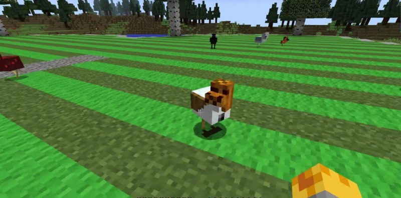 Мод Chickens (куры, разведение, ресурсы) | Сегодня, 14:22 - Моды для Minecraft / Мобы / Индустриальные / Деревья и растения