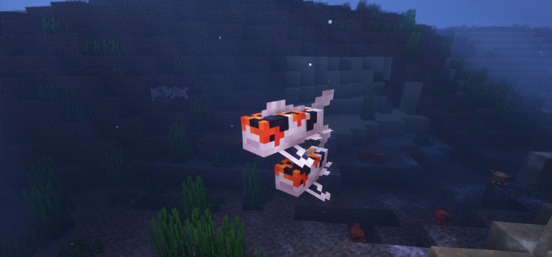Мод Critters and Companions 1.21.1/1.19.2 (дружелюбные существа) | Сегодня, 14:59 - Моды для Minecraft / Декор / Мобы / 1.18.2 / 1.19.2 / 1.20.1 / 1.21.1
