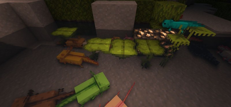 Мод More Axolotl Variants Mod 26.1.2/1.21.11 (новые расцветки аксолотлей) | 21-06-2026, 14:14 - Моды для Minecraft / Мобы / 1.17 / 1.17.1 / 1.18 / 1.18.1 / 1.18.2 / 1.19 / 1.19.2 / 1.19.3 / 1.19.4 / 1.20 / 1.20.4 / 1.20.5 / 1.20.6 / 1.21 / 1.21.1 / 1.21.4 / 1.21.5 / 1.21.8 / 1.21.10 / 1.21.11 / 26.1 / 26.1.1 / 26.1.2 / 26.2