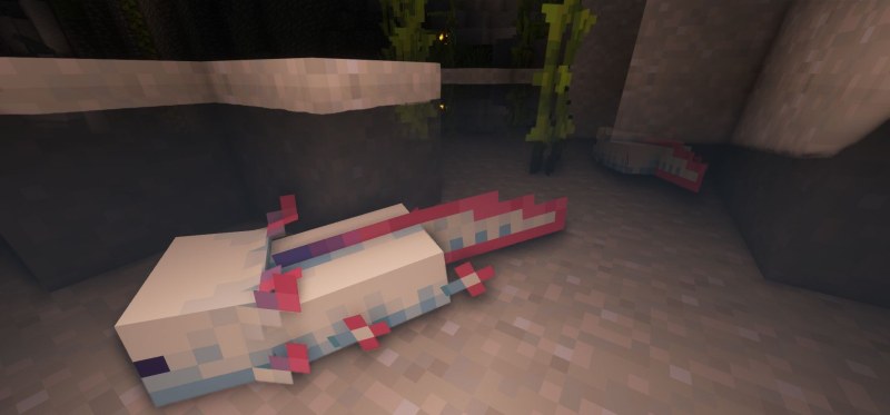 Мод More Axolotl Variants Mod 26.1.2/1.21.11 (новые расцветки аксолотлей) | 21-06-2026, 14:14 - Моды для Minecraft / Мобы / 1.17 / 1.17.1 / 1.18 / 1.18.1 / 1.18.2 / 1.19 / 1.19.2 / 1.19.3 / 1.19.4 / 1.20 / 1.20.4 / 1.20.5 / 1.20.6 / 1.21 / 1.21.1 / 1.21.4 / 1.21.5 / 1.21.8 / 1.21.10 / 1.21.11 / 26.1 / 26.1.1 / 26.1.2 / 26.2