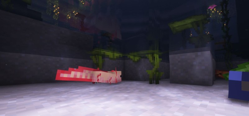 Мод More Axolotl Variants Mod 26.1.2/1.21.11 (новые расцветки аксолотлей) | 21-06-2026, 14:14 - Моды для Minecraft / Мобы / 1.17 / 1.17.1 / 1.18 / 1.18.1 / 1.18.2 / 1.19 / 1.19.2 / 1.19.3 / 1.19.4 / 1.20 / 1.20.4 / 1.20.5 / 1.20.6 / 1.21 / 1.21.1 / 1.21.4 / 1.21.5 / 1.21.8 / 1.21.10 / 1.21.11 / 26.1 / 26.1.1 / 26.1.2 / 26.2