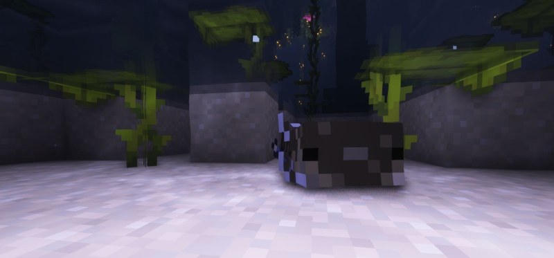 Мод More Axolotl Variants Mod 26.1.2/1.21.11 (новые расцветки аксолотлей) | 21-06-2026, 14:14 - Моды для Minecraft / Мобы / 1.17 / 1.17.1 / 1.18 / 1.18.1 / 1.18.2 / 1.19 / 1.19.2 / 1.19.3 / 1.19.4 / 1.20 / 1.20.4 / 1.20.5 / 1.20.6 / 1.21 / 1.21.1 / 1.21.4 / 1.21.5 / 1.21.8 / 1.21.10 / 1.21.11 / 26.1 / 26.1.1 / 26.1.2 / 26.2