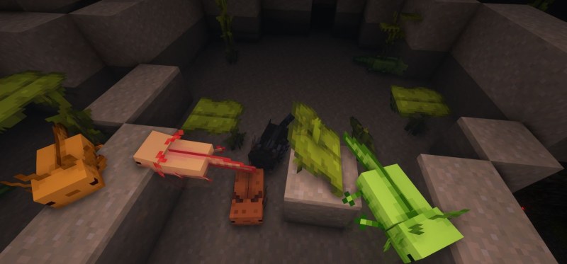 Мод More Axolotl Variants Mod 26.1.2/1.21.11 (новые расцветки аксолотлей) | 21-06-2026, 14:14 - Моды для Minecraft / Мобы / 1.17 / 1.17.1 / 1.18 / 1.18.1 / 1.18.2 / 1.19 / 1.19.2 / 1.19.3 / 1.19.4 / 1.20 / 1.20.4 / 1.20.5 / 1.20.6 / 1.21 / 1.21.1 / 1.21.4 / 1.21.5 / 1.21.8 / 1.21.10 / 1.21.11 / 26.1 / 26.1.1 / 26.1.2 / 26.2