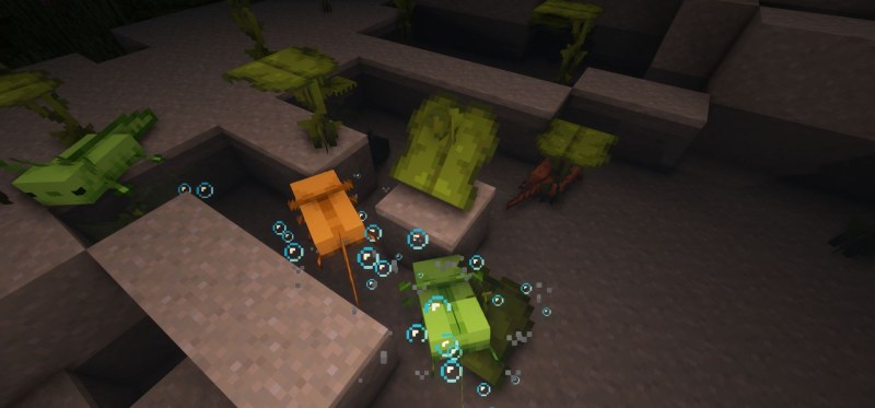 Мод More Axolotl Variants Mod 26.1.2/1.21.11 (новые расцветки аксолотлей) | 21-06-2026, 14:14 - Моды для Minecraft / Мобы / 1.17 / 1.17.1 / 1.18 / 1.18.1 / 1.18.2 / 1.19 / 1.19.2 / 1.19.3 / 1.19.4 / 1.20 / 1.20.4 / 1.20.5 / 1.20.6 / 1.21 / 1.21.1 / 1.21.4 / 1.21.5 / 1.21.8 / 1.21.10 / 1.21.11 / 26.1 / 26.1.1 / 26.1.2 / 26.2