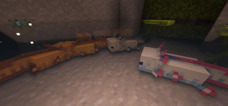Мод More Axolotl Variants Mod 26.1.2/1.21.11 (новые расцветки аксолотлей) | 21-06-2026, 14:14 - Моды для Minecraft / Мобы / 1.17 / 1.17.1 / 1.18 / 1.18.1 / 1.18.2 / 1.19 / 1.19.2 / 1.19.3 / 1.19.4 / 1.20 / 1.20.4 / 1.20.5 / 1.20.6 / 1.21 / 1.21.1 / 1.21.4 / 1.21.5 / 1.21.8 / 1.21.10 / 1.21.11 / 26.1 / 26.1.1 / 26.1.2 / 26.2
