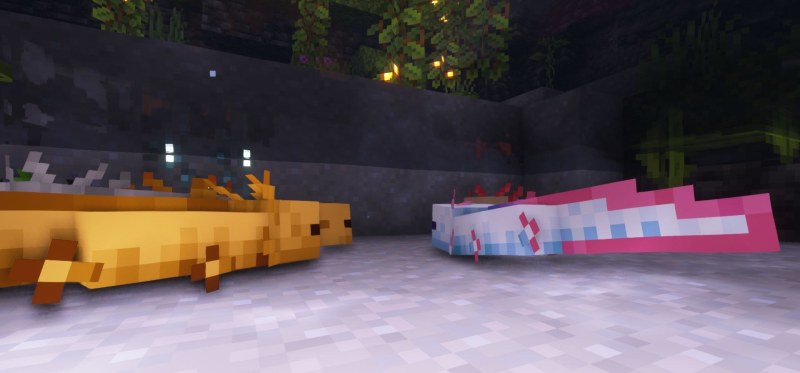 Мод More Axolotl Variants Mod 26.1.2/1.21.11 (новые расцветки аксолотлей) | 21-06-2026, 14:14 - Моды для Minecraft / Мобы / 1.17 / 1.17.1 / 1.18 / 1.18.1 / 1.18.2 / 1.19 / 1.19.2 / 1.19.3 / 1.19.4 / 1.20 / 1.20.4 / 1.20.5 / 1.20.6 / 1.21 / 1.21.1 / 1.21.4 / 1.21.5 / 1.21.8 / 1.21.10 / 1.21.11 / 26.1 / 26.1.1 / 26.1.2 / 26.2