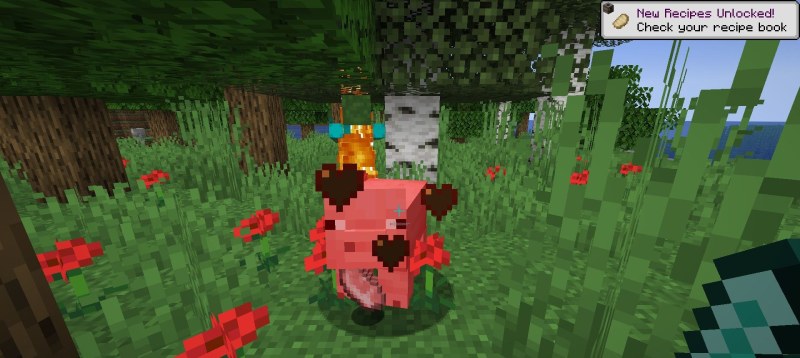 Мод Clean Swing Through Grass 26.2/1.21.11 (Улучшенный бой) | 1-07-2026, 20:51 - Моды для Minecraft / Оружие / Броня / RPG / 1.20 / 1.20.1 / 1.20.2 / 1.20.4 / 1.20.5 / 1.21 / 1.21.1 / 1.21.8 / 1.21.10 / 1.21.11 / 26.1 / 26.1.1 / 26.1.2 / 26.2