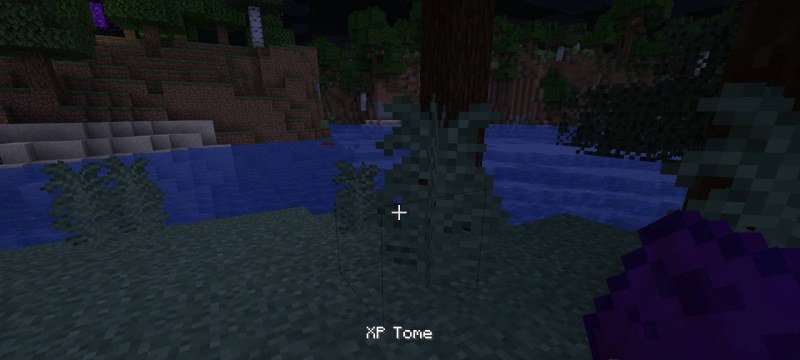 Мод XP Tome 26.2/1.21.11 (Хранение опыта, Утилита) | 1-07-2026, 20:45 - Моды для Minecraft / Сундуки и рюкзаки / 1.12.2 / RPG / 1.14.4 / 1.15.2 / 1.16.1  / 1.16.2  / 1.16.3 / 1.16.4 / 1.16.5 / 1.17.1 / 1.18 / 1.18.1 / 1.18.2 / 1.19 / 1.19.1 / 1.19.2 / 1.19.4 / 1.20 / 1.20.1 / 1.20.2 / 1.20.4 / 1.20.6 / 1.21 / 1.21.1 / 1.21.4 / 1.21.5 / 1.21.8 / 1.21.10 / 1.21.11 / 26.1 / 26.1.1 / 26.1.2 / 26.2