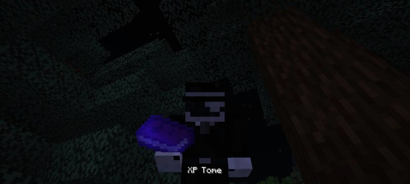 Мод XP Tome 26.2/1.21.11 (Хранение опыта, Утилита) | 1-07-2026, 20:45 - Моды для Minecraft / Сундуки и рюкзаки / 1.12.2 / RPG / 1.14.4 / 1.15.2 / 1.16.1  / 1.16.2  / 1.16.3 / 1.16.4 / 1.16.5 / 1.17.1 / 1.18 / 1.18.1 / 1.18.2 / 1.19 / 1.19.1 / 1.19.2 / 1.19.4 / 1.20 / 1.20.1 / 1.20.2 / 1.20.4 / 1.20.6 / 1.21 / 1.21.1 / 1.21.4 / 1.21.5 / 1.21.8 / 1.21.10 / 1.21.11 / 26.1 / 26.1.1 / 26.1.2 / 26.2
