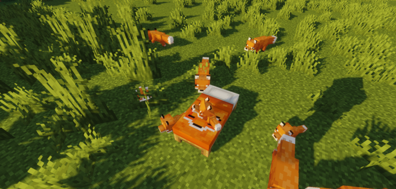 Fancy Beds 26.2/1.21.11 (кровати, декор, уют 16x) | 20-08-2026, 18:19 - Текстуры для Minecraft / 1.14 / 1.14.2 / 1.14.3 / 1.14.4 / 1.15 / 1.15.1 / 1.15.2 / Текстуры 16x / Стандартные  / Мульяшные / Для слабых ПК / 1.16 / 1.16.1 / 1.16.2 / 1.16.3 / 1.16.4 / 1.17 / 1.16.5 / 1.17.1 / 1.18 / 1.18.1 / 1.18.2 / 1.19 / 1.19.1 / 1.19.2 / 1.19.3 / 1.19.4 / 1.20.1 / 26.1 / 1.21.11 / 1.21.10 / 1.21.8 / 1.21.5 / 1.21.4 / 1.21.1 / 1.20.6 / 1.20.5 / 1.20.4 / 1.20.3 / 1.20.2 / 26.1.1 / 26.1.2 / 26.2