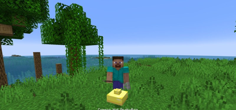 Мод Simple Hats 1.21.1/1.19.4 (декоративные шляпы) | Сегодня, 00:18 - Моды для Minecraft / Оружие / Броня / Инструменты / 1.18.2 / 1.19 / 1.19.2 / 1.19.3 / 1.19.4 / 1.20 / 1.20.1 / 1.20.4 / 1.21.1