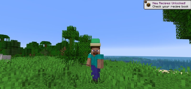 Мод Simple Hats 1.21.1/1.19.4 (декоративные шляпы) | Сегодня, 00:18 - Моды для Minecraft / Оружие / Броня / Инструменты / 1.18.2 / 1.19 / 1.19.2 / 1.19.3 / 1.19.4 / 1.20 / 1.20.1 / 1.20.4 / 1.21.1