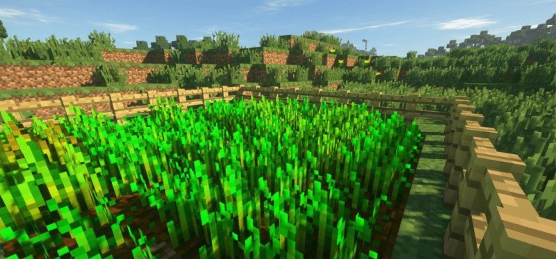 Мод Trample Stopper 26.1.2/1.21 (защита грядок) | Вчера, 15:49 - Моды для Minecraft / 1.14.4 / 1.15.2 / 1.16.1  / 1.16.2  / 1.16.3 / 1.16.4 / 1.16.5 / 1.17.1 / 1.18 / 1.18.1 / 1.18.2 / 1.19 / 1.19.1 / 1.19.2 / 1.19.3 / 1.20 / 1.20.1 / 1.20.4 / 1.21 / 26.1 / 26.1.1 / 26.1.2