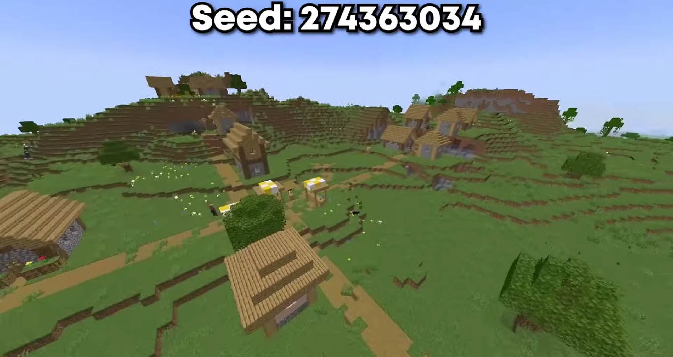 Minecraft seed 274363034 — скриншот 1