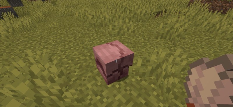 Мод Hardened Armadillos 1.21.1/1.20.6 (Броня для броненосцев) | 16-10-2026, 12:48 - Моды для Minecraft / Мобы / 1.20.6 / 1.21.1